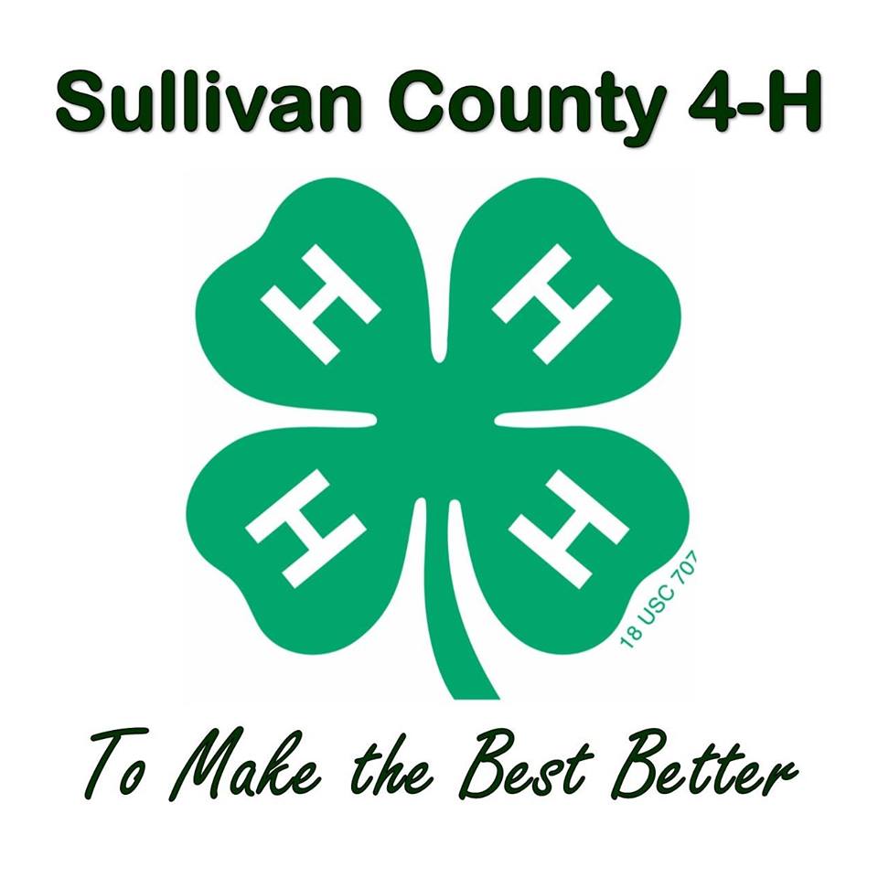 Sullivan County 4-H - Camp Scholarship Program