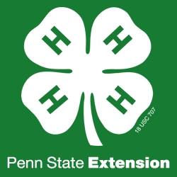Penn State Extension 4-H - Camp Scholarship Program